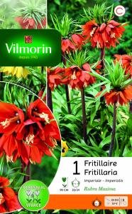 Fritillaire Imperialis Rubra (x1)